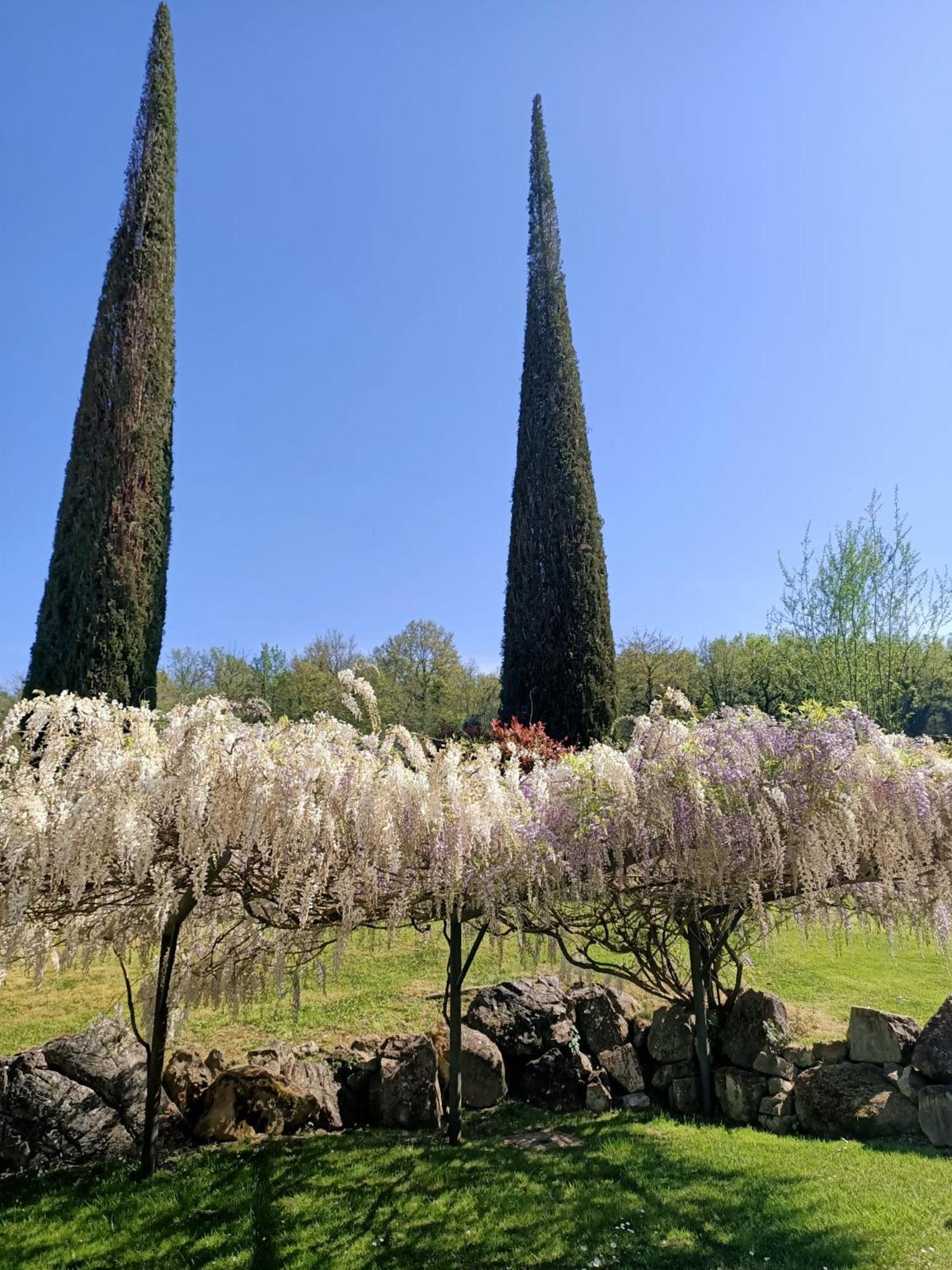 Relais Osteria Dell'Orcia Hotel Bagno Vignoni Bagian luar foto